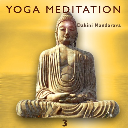 Yoga Meditation 3 copy.jpg