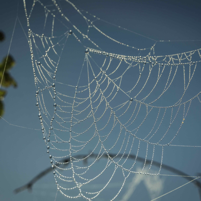 Spinnennetz mit Perlen.jpeg