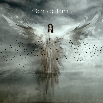 Seraphim_Cover.jpg
